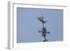 Gilded Grasshopper Weathervane on Faneuil Hall-null-Framed Photo