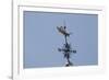 Gilded Grasshopper Weathervane on Faneuil Hall-null-Framed Photo