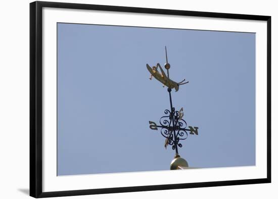 Gilded Grasshopper Weathervane on Faneuil Hall-null-Framed Photo