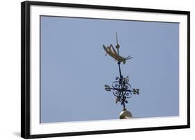 Gilded Grasshopper Weathervane on Faneuil Hall-null-Framed Photo