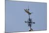 Gilded Grasshopper Weathervane on Faneuil Hall-null-Mounted Photo