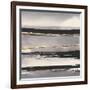 Gilded Grey I-Chris Paschke-Framed Art Print