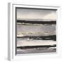 Gilded Grey I-Chris Paschke-Framed Art Print
