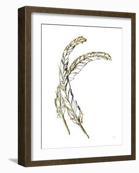 Gilded Hackles Feather-Chris Paschke-Framed Art Print