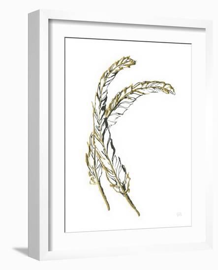 Gilded Hackles Feather-Chris Paschke-Framed Art Print