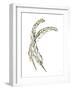 Gilded Hackles Feather-Chris Paschke-Framed Art Print
