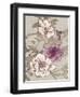 Gilded Hummingbird-Devon Ross-Framed Art Print