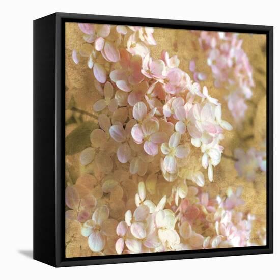 Gilded Hydrangea I-Sue Schlabach-Framed Stretched Canvas