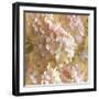 Gilded Hydrangea I-Sue Schlabach-Framed Art Print