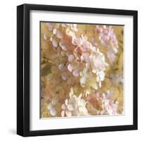 Gilded Hydrangea I-Sue Schlabach-Framed Art Print