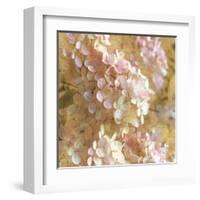 Gilded Hydrangea I-Sue Schlabach-Framed Art Print