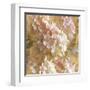 Gilded Hydrangea I-Sue Schlabach-Framed Art Print