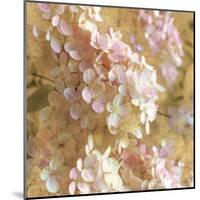 Gilded Hydrangea I-Sue Schlabach-Mounted Art Print