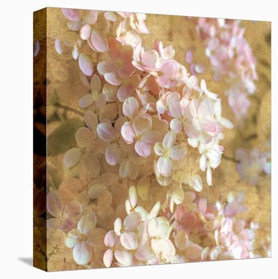 Gilded Hydrangea I-Sue Schlabach-Stretched Canvas