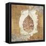 Gilded Leaf VI-Avery Tillmon-Framed Stretched Canvas