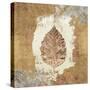 Gilded Leaf VI-Avery Tillmon-Stretched Canvas