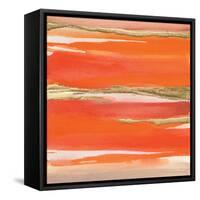 Gilded Mandarin I-Chris Paschke-Framed Stretched Canvas