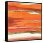 Gilded Mandarin II-Chris Paschke-Framed Stretched Canvas