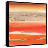 Gilded Mandarin III-Chris Paschke-Framed Stretched Canvas