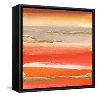Gilded Mandarin III-Chris Paschke-Framed Stretched Canvas