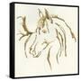 Gilded Mare-Chris Paschke-Framed Stretched Canvas