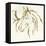 Gilded Mare-Chris Paschke-Framed Stretched Canvas