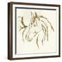 Gilded Mare-Chris Paschke-Framed Art Print