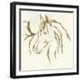 Gilded Mare-Chris Paschke-Framed Art Print