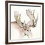 Gilded Moose-Chris Paschke-Framed Art Print