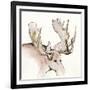 Gilded Moose-Chris Paschke-Framed Art Print