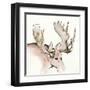 Gilded Moose-Chris Paschke-Framed Art Print