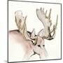 Gilded Moose-Chris Paschke-Mounted Art Print