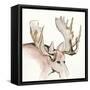 Gilded Moose-Chris Paschke-Framed Stretched Canvas