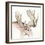 Gilded Moose-Chris Paschke-Framed Art Print