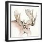 Gilded Moose-Chris Paschke-Framed Art Print