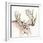 Gilded Moose-Chris Paschke-Framed Art Print