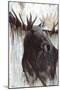 Gilded Moose-Angela Bawden-Mounted Art Print