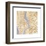 Gilded New York Map-Laura Marshall-Framed Art Print