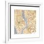 Gilded New York Map-Laura Marshall-Framed Art Print