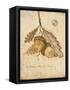 Gilded Oak-Arnie Fisk-Framed Stretched Canvas