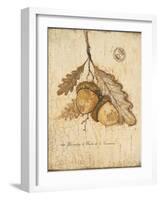 Gilded Oak-Arnie Fisk-Framed Art Print