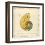 Gilded Ocean Nautilus-Studio 5-Framed Art Print