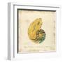 Gilded Ocean Nautilus-Studio 5-Framed Art Print