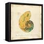 Gilded Ocean Nautilus-Studio 5-Framed Stretched Canvas