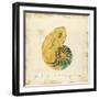 Gilded Ocean Nautilus-Studio 5-Framed Art Print