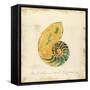 Gilded Ocean Nautilus-Studio 5-Framed Stretched Canvas