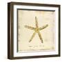 Gilded Ocean Starfish-Studio 5-Framed Art Print