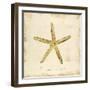 Gilded Ocean Starfish-Studio 5-Framed Art Print