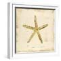 Gilded Ocean Starfish-Studio 5-Framed Art Print