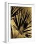 Gilded Palm-Kristine Hegre-Framed Giclee Print